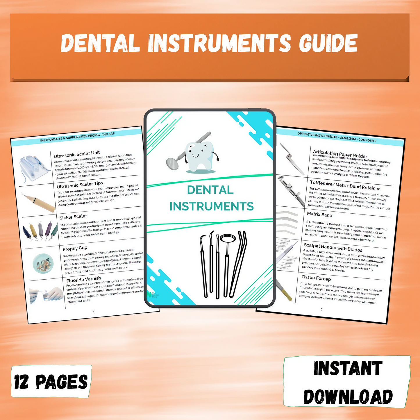 Dental Instruments Guide