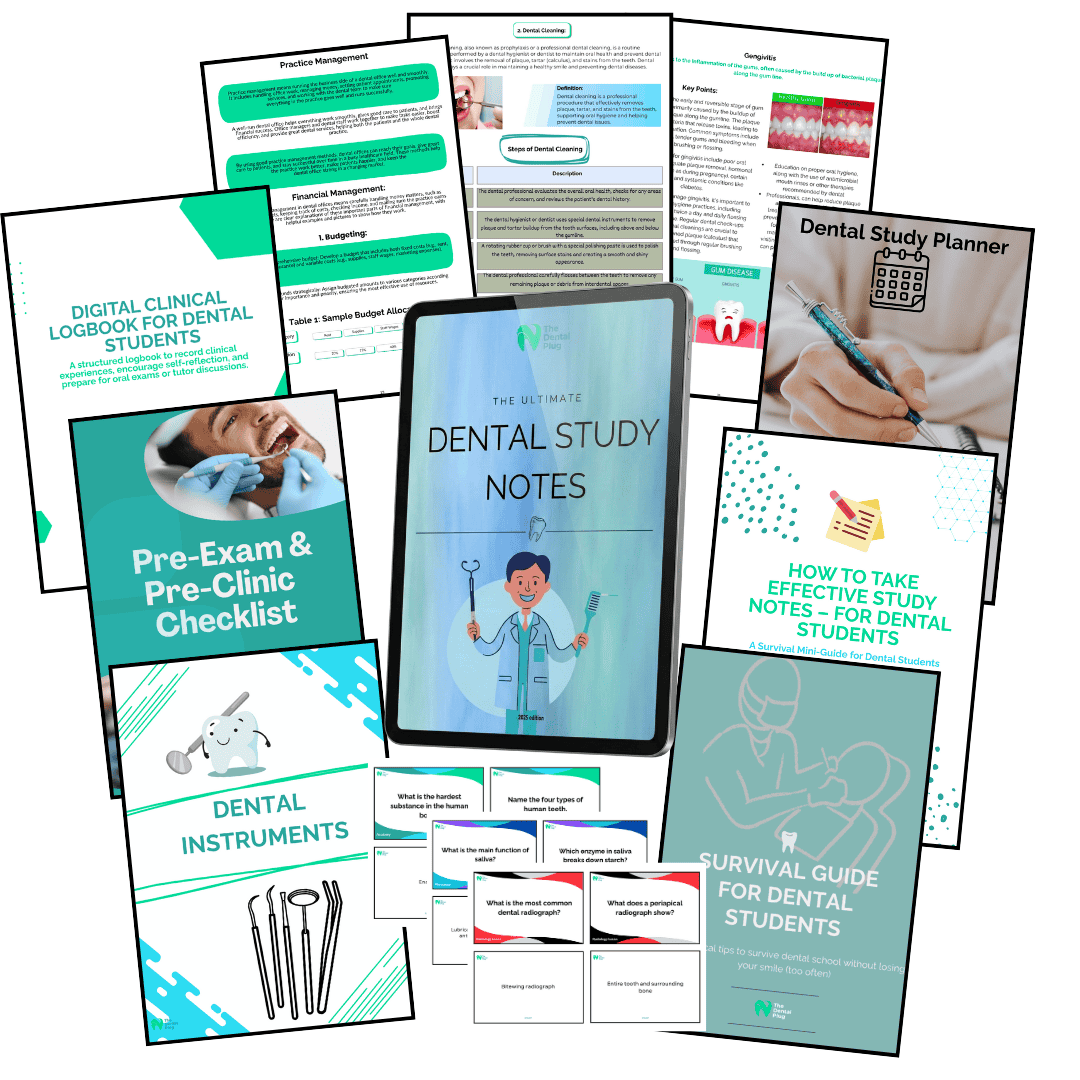 Dental Plug Premium Bundle