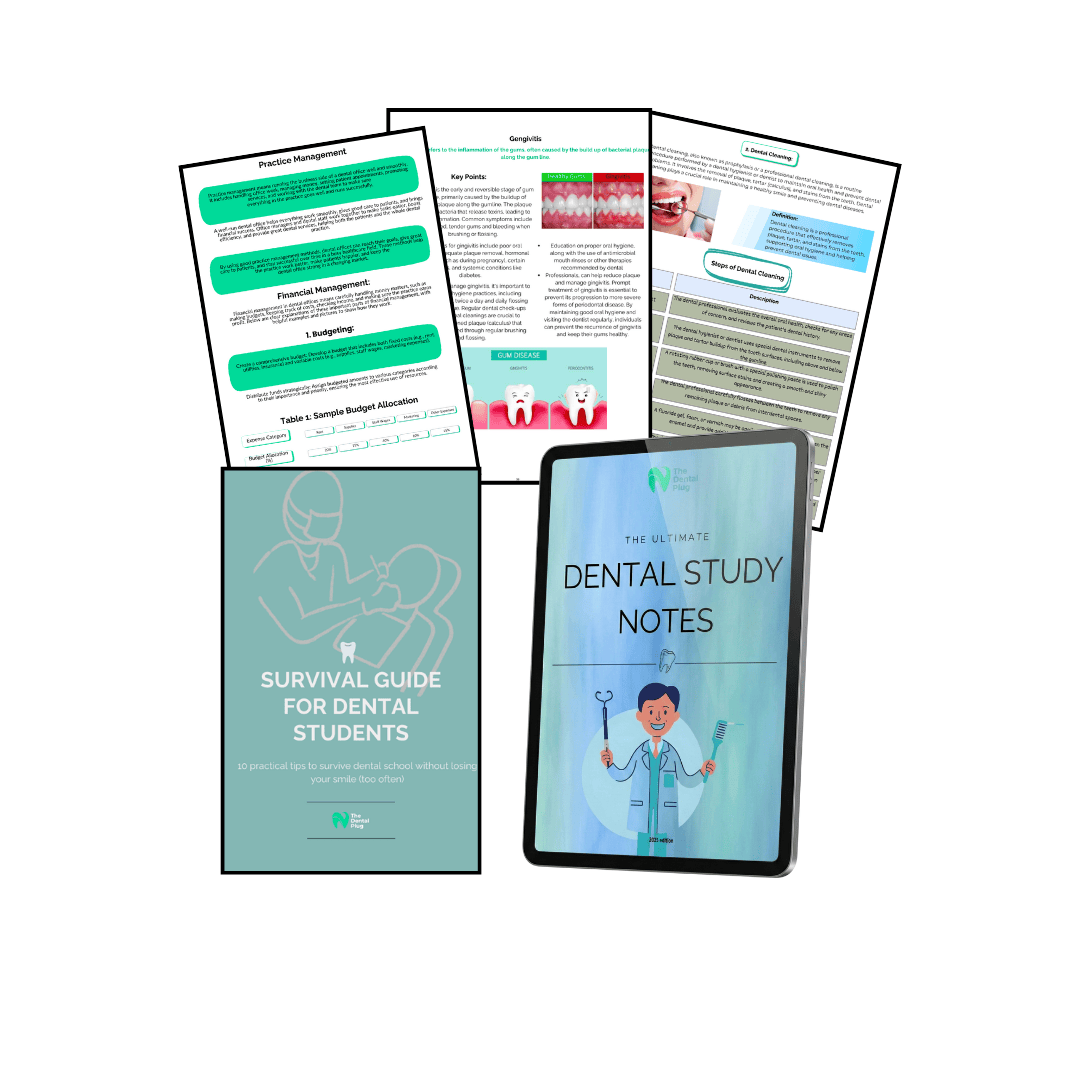 Dental Plug Standard Bundle